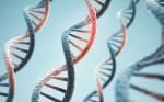 Anthropic 在硅谷开启湿实验室 用 AI 直接做生物实验