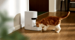 AI 识别多猫进食习惯，Petlibro Granary 2 系列评测
